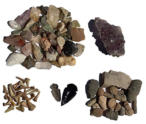 Golden Nugget Dig Kit - Mama's Minerals