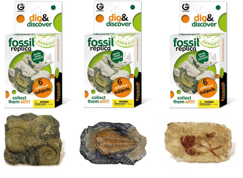Geoworld Fossil Replica Dig and Discover Bundle (Set 2) - Kolt Mining Company