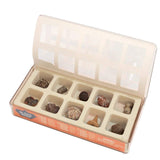 Dr. Steve Hunters Fossils From All Over The World Small Science Kit, 10 Fossils - Kolt Mining Company