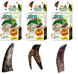 Geoworld Dino Teeth and Claw Replica Dig and Discover Bundle (Set 2) - Kolt Mining Company