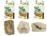 Geoworld Fossil Replica Dig and Discover Bundle (Set 1) - Kolt Mining Company