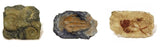 Geoworld Fossil Replica Dig and Discover Bundle (Set 2) - Kolt Mining Company